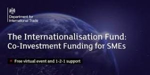 Co-Investment Funding for SMEs