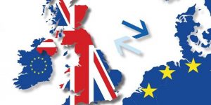 BREXIT - IGNORANCE WON'T CUT IT WITH CUSTOMS